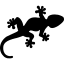 Favicon